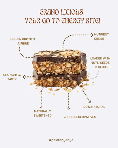 Granolucious (Baked Nut & Seed Energy Bites Pack of 8 and 12)